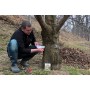 Lipīgā līmlenta kokiem 5m Lipīgā līmlenta kokiem 5m